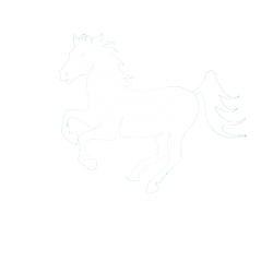 Rebecca Heald – Physiotherapy
